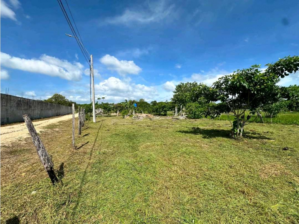 VENTA DE LOTE EN RIO GRANDE PENONOME 600M2 CERCA DE LA PANAMERICANA - 1