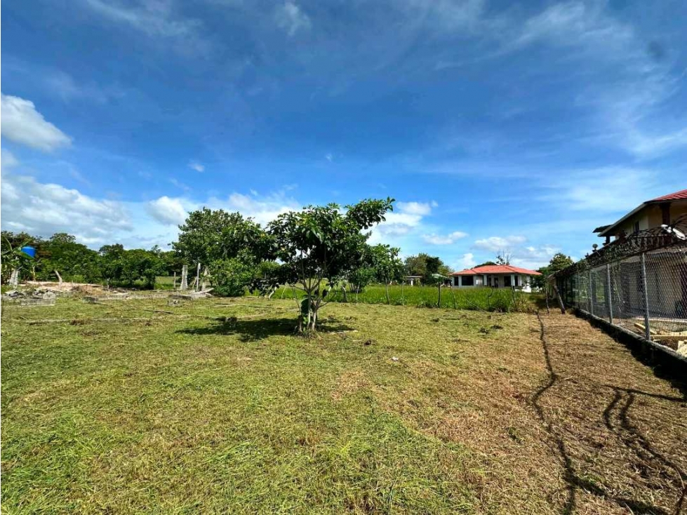 VENTA DE LOTE EN RIO GRANDE PENONOME 600M2 CERCA DE LA PANAMERICANA - 3