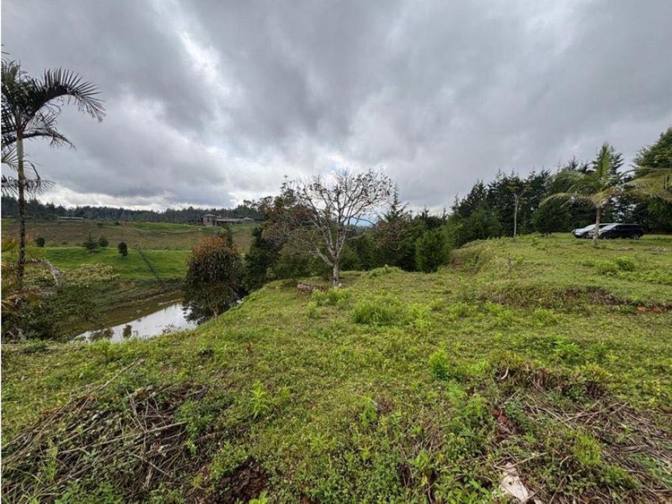 Venta de lote en Ríonegro, la mosquita — foto 5