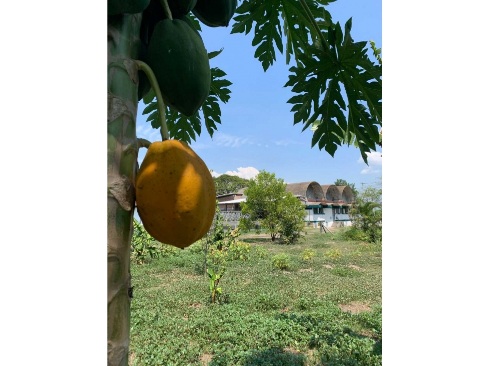 VENTA DE LOTE EN ROZO VALLE DEL CAUCA — foto 4