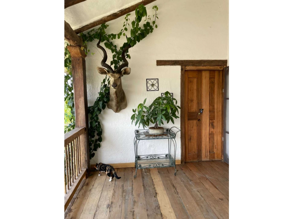 VENTA DE LOTE EN ROZO VALLE DEL CAUCA — foto 5