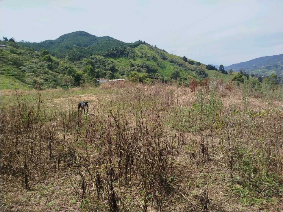 Venta de Lote en San Antonio de Prado — foto 3