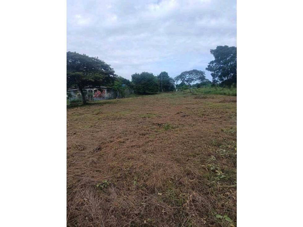 VENTA DE LOTE EN SAN CARLOS, CERCA DE LA PLAYA - 3