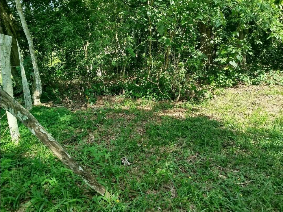 Venta de Lote en San Jerónimo , Sector pie de Cuesta - 2