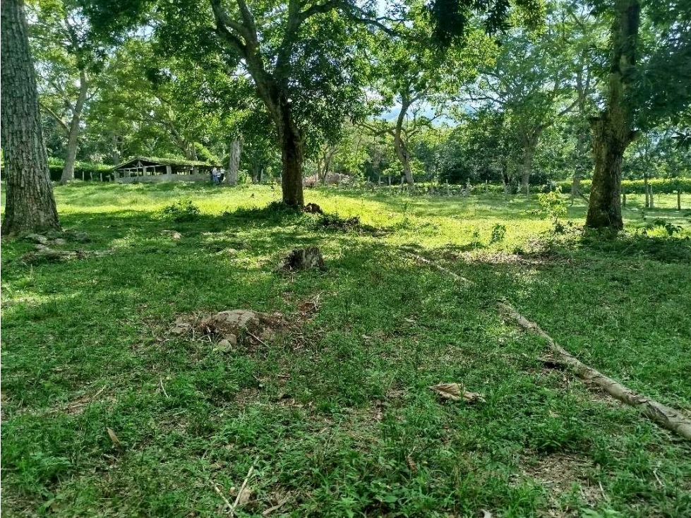 Venta de Lote en San Jerónimo , Sector pie de Cuesta - 4