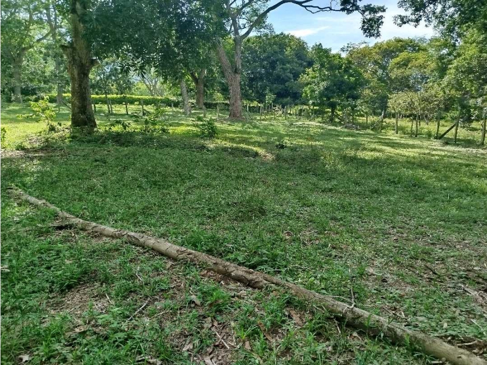 Venta de Lote en San Jerónimo , Sector pie de Cuesta - 6
