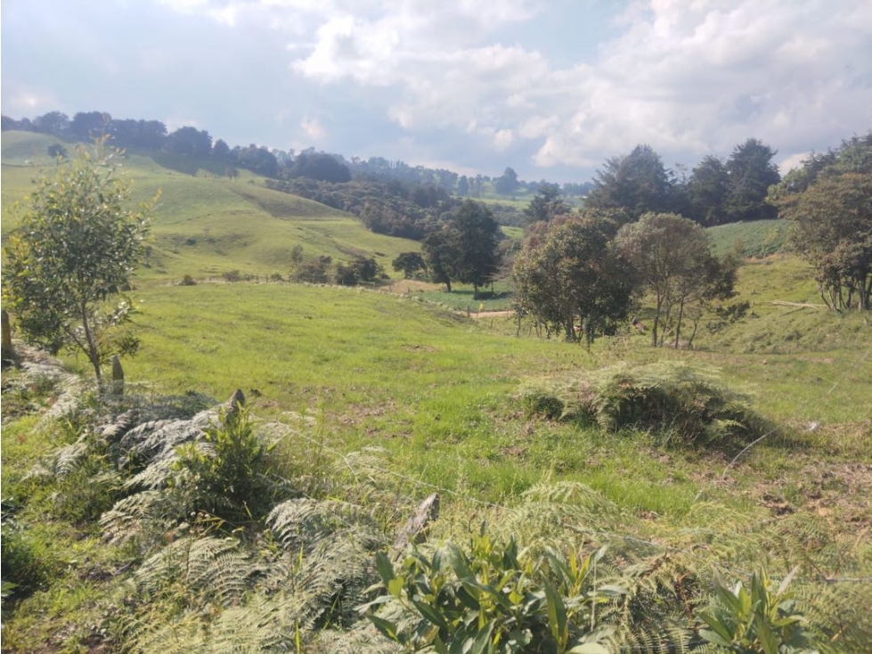 Venta de Lote en San Pedro de Los Milagros