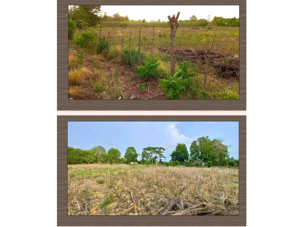 Venta de lote en San pelayo
