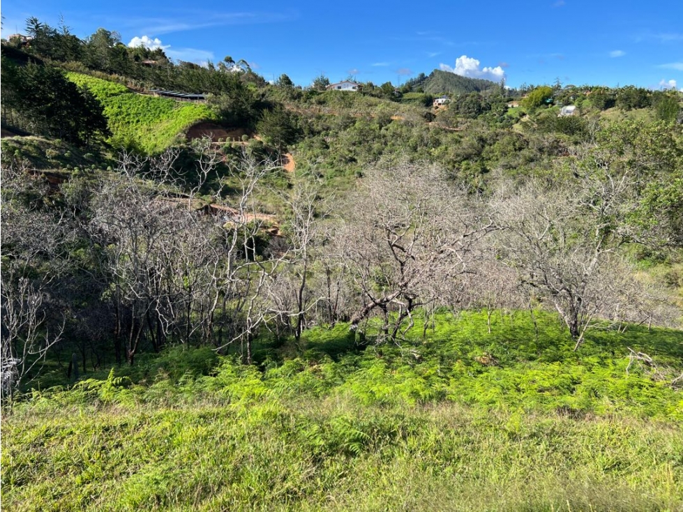 VENTA DE LOTE EN SAN VICENTE [antes del pueblo] — foto 3