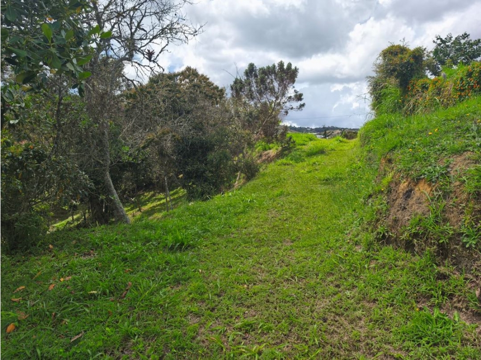 VENTA DE LOTE EN SAN VICENTE FERRER — foto 2