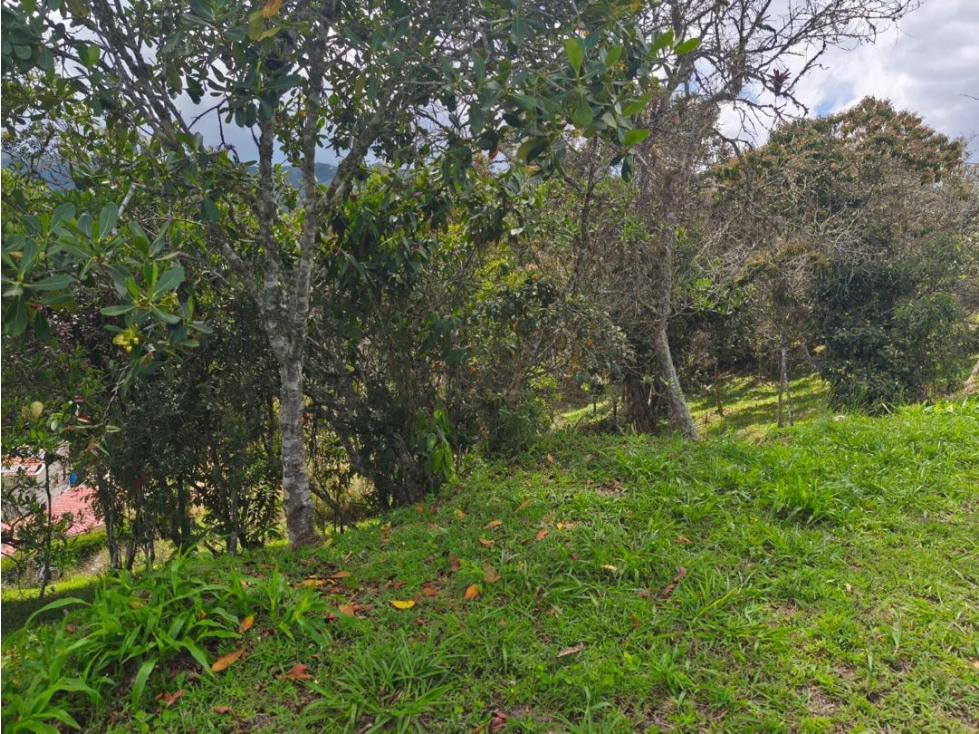 VENTA DE LOTE EN SAN VICENTE FERRER — foto 3