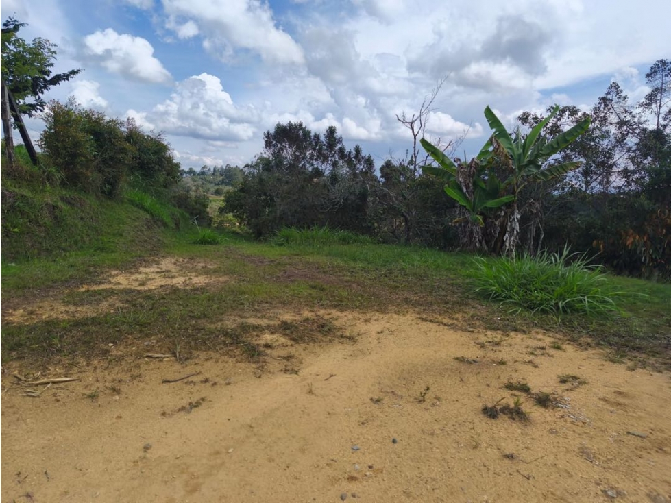 VENTA DE LOTE EN SAN VICENTE FERRER — foto 4