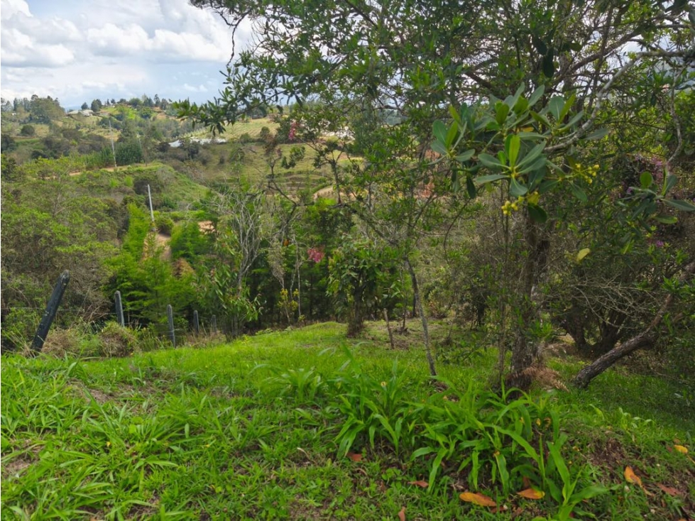 VENTA DE LOTE EN SAN VICENTE FERRER — foto 5