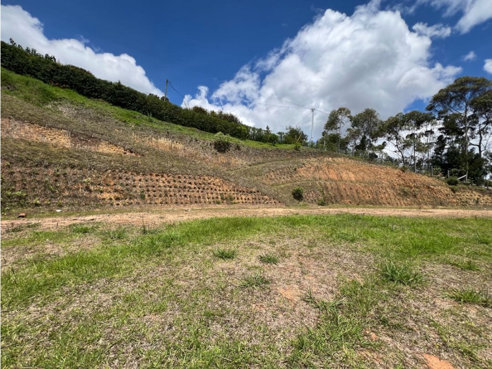 VENTA DE LOTE EN SAN VICENTE, VEREDA CHAPARRAL (sector Calpo Alegre) — foto 4