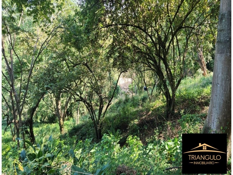 Venta De Lote En Parcelación Abierta Sopetran — foto 4