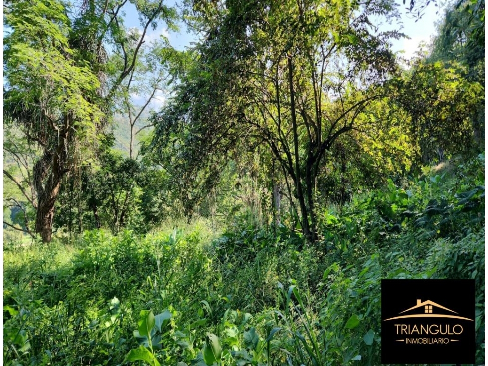 Venta De Lote En Parcelación Abierta Sopetran — foto 5