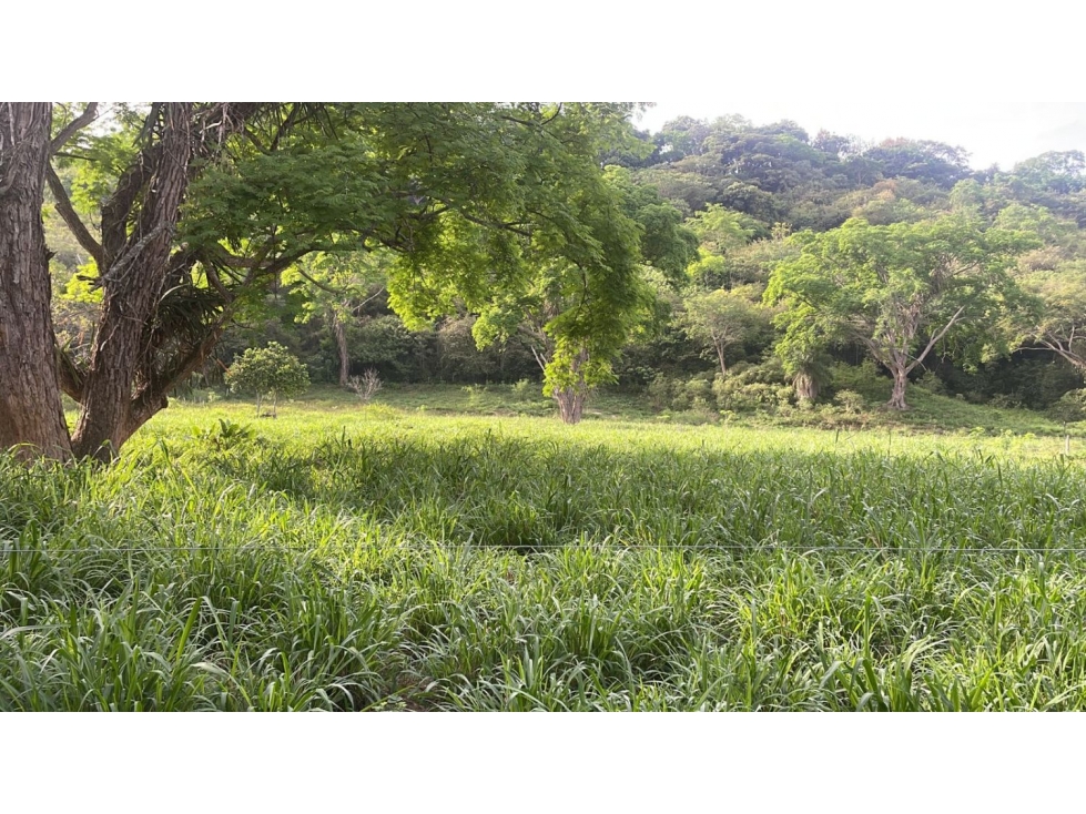 Venta De Lote Rural En Sopetran — foto 4
