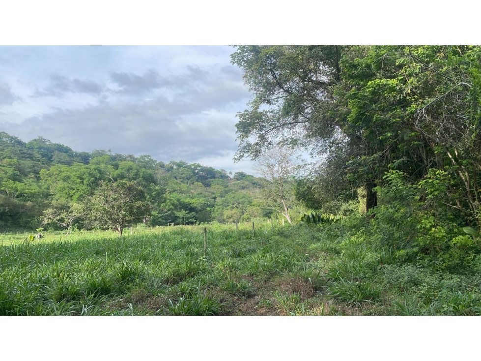 Venta De Lote Rural En Sopetran — foto 5