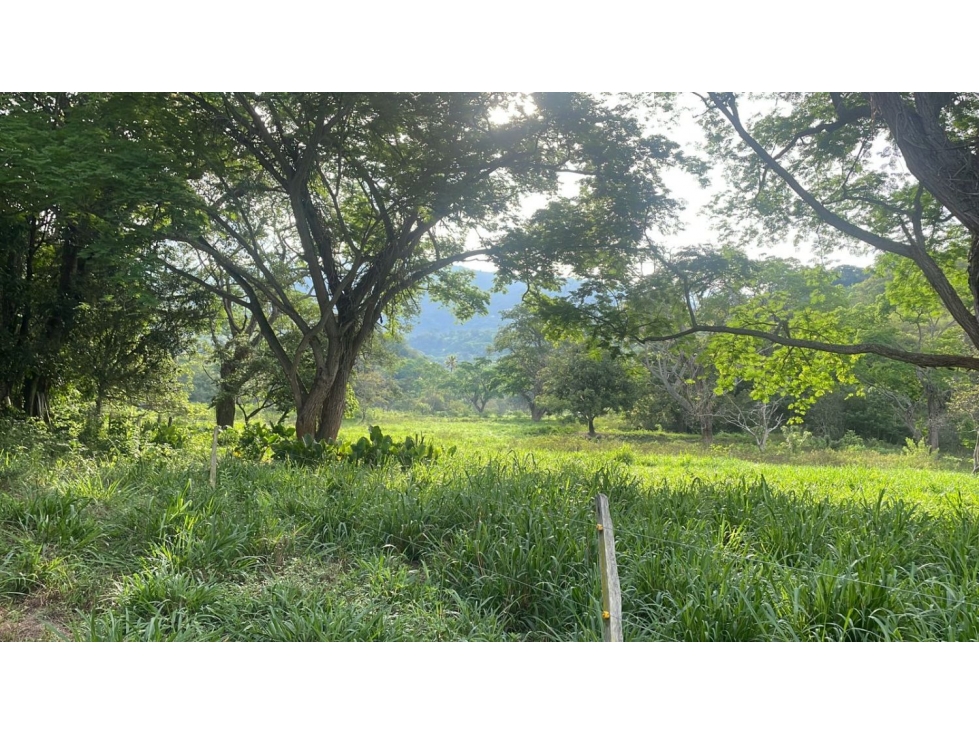 Venta De Lote Rural En Sopetran — foto 3