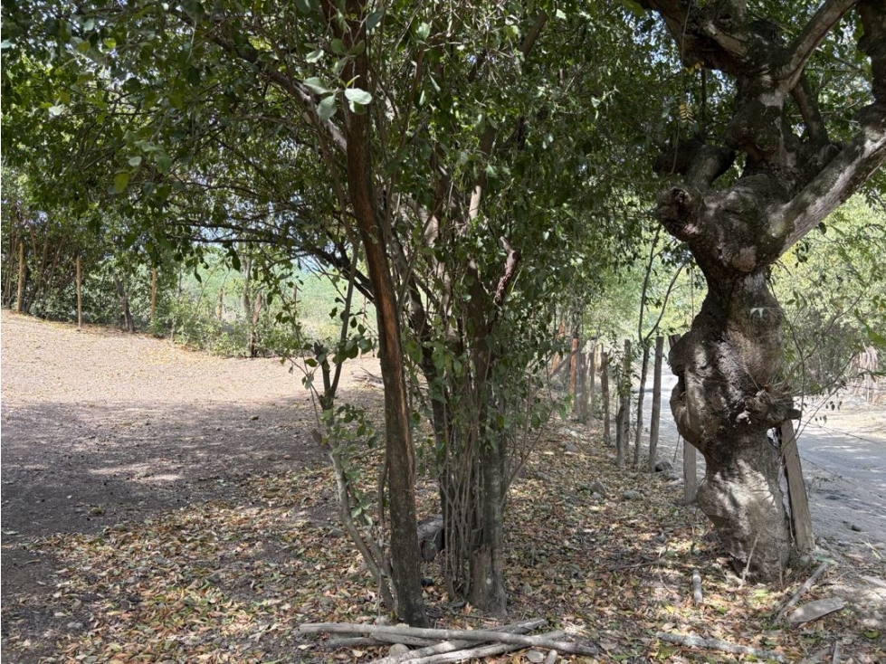 VENTA DE LOTE EN SOPETRAN ANTIOQUIA — foto 2