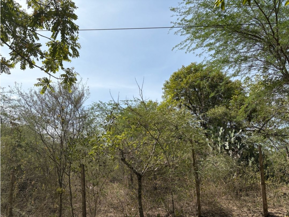 VENTA DE LOTE EN SOPETRAN ANTIOQUIA — foto 4