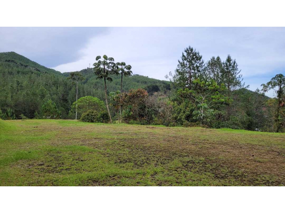 Venta de Lote En Unidad Cerrada Juanito Laguna El Retiro - 6
