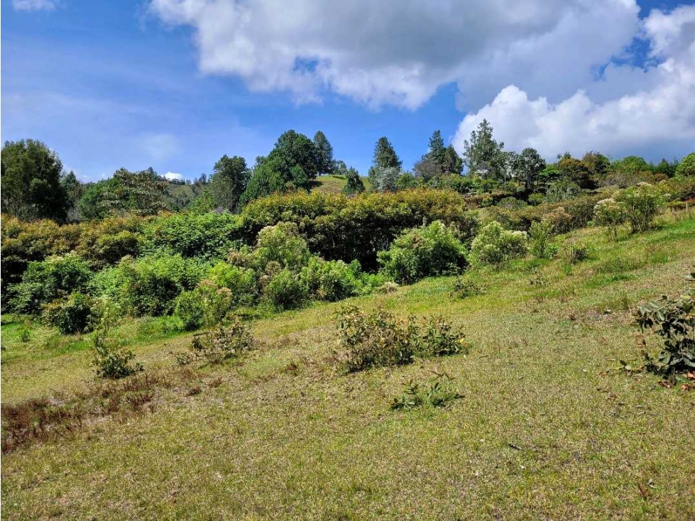 Venta de Lote en Unidad Cerrada en Sector Pantanillo Retiro — foto 4