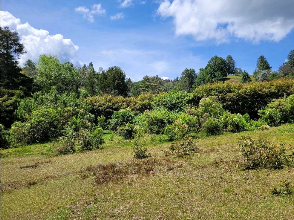 Venta de Lote en Unidad Cerrada en Sector Pantanillo Retiro — foto 5