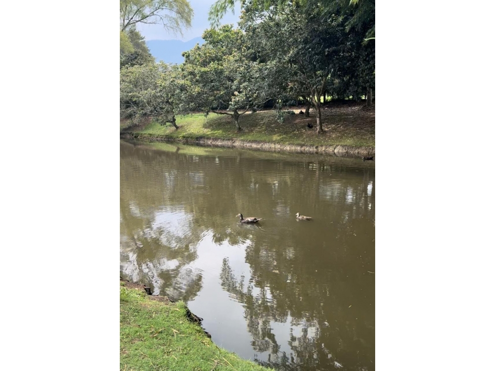 Venta de Lote en Unidad Cerrada en Vía Rionegro el Carmen — foto 5
