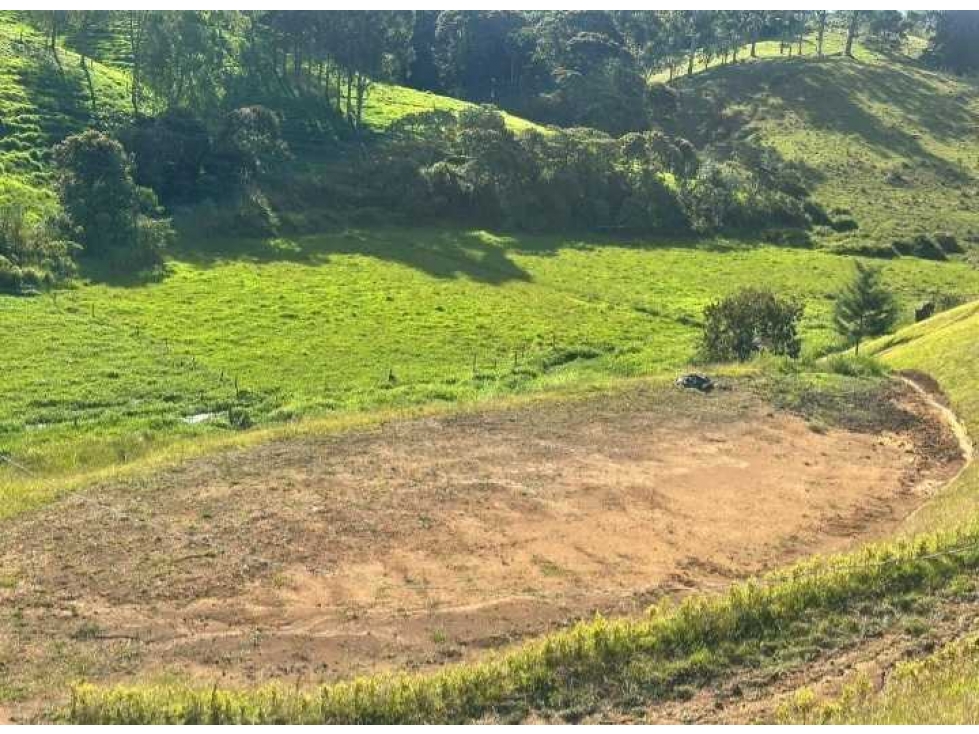 VENTA DE LOTE EN UNIDAD CERRADA EN SAN ANTONIO DE PEREIRA VEREDA SAMAR — foto 2