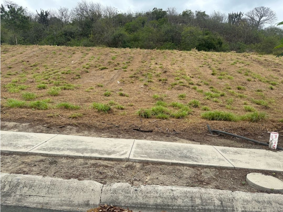 Terreno pendiente positiva de venta en Montecristi Golf Club-Manabí. — foto 4