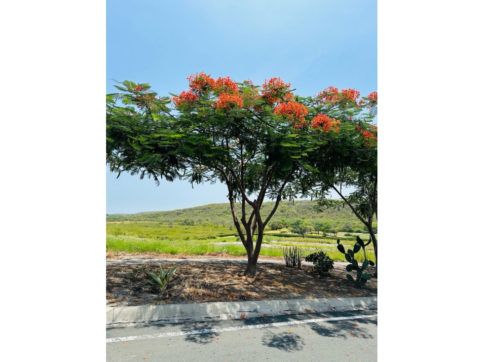 Terreno pendiente positiva en venta Urb. Montecristi Golf Club-Manabí.