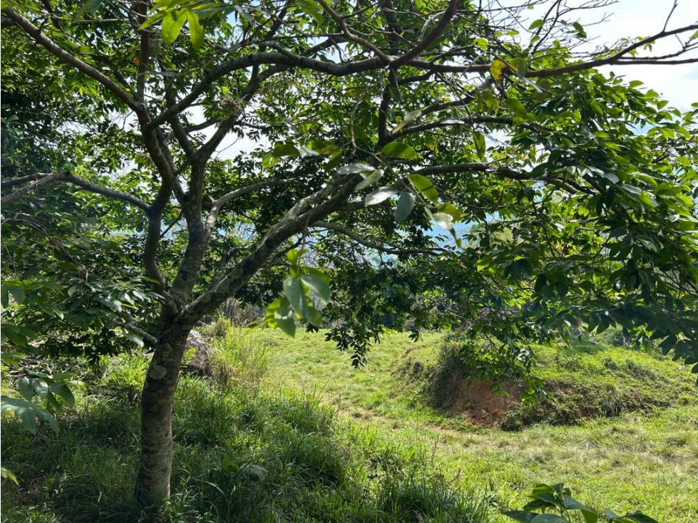 VENTA DE LOTE EN VENECIA SUROESTE ANTIOQUEÑO - 2