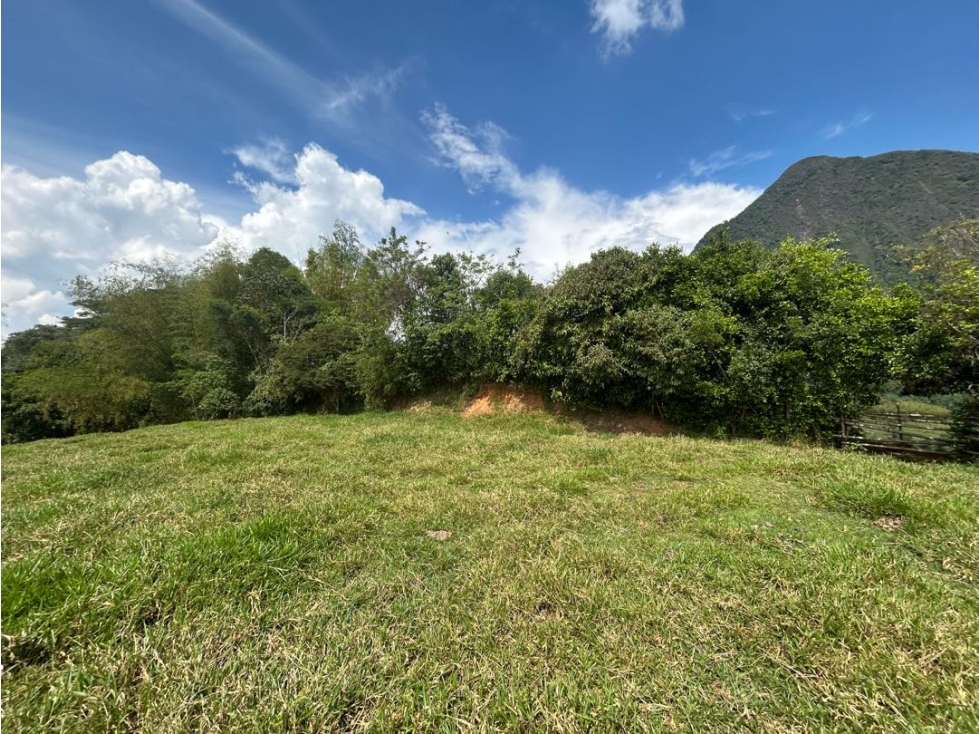 VENTA DE LOTE EN VENECIA SUROESTE ANTIOQUEÑO - 5