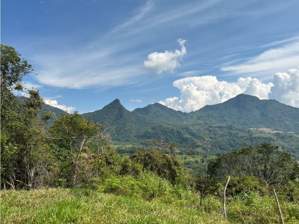 VENTA DE LOTE EN VENECIA SUROESTE ANTIOQUEÑO - 6