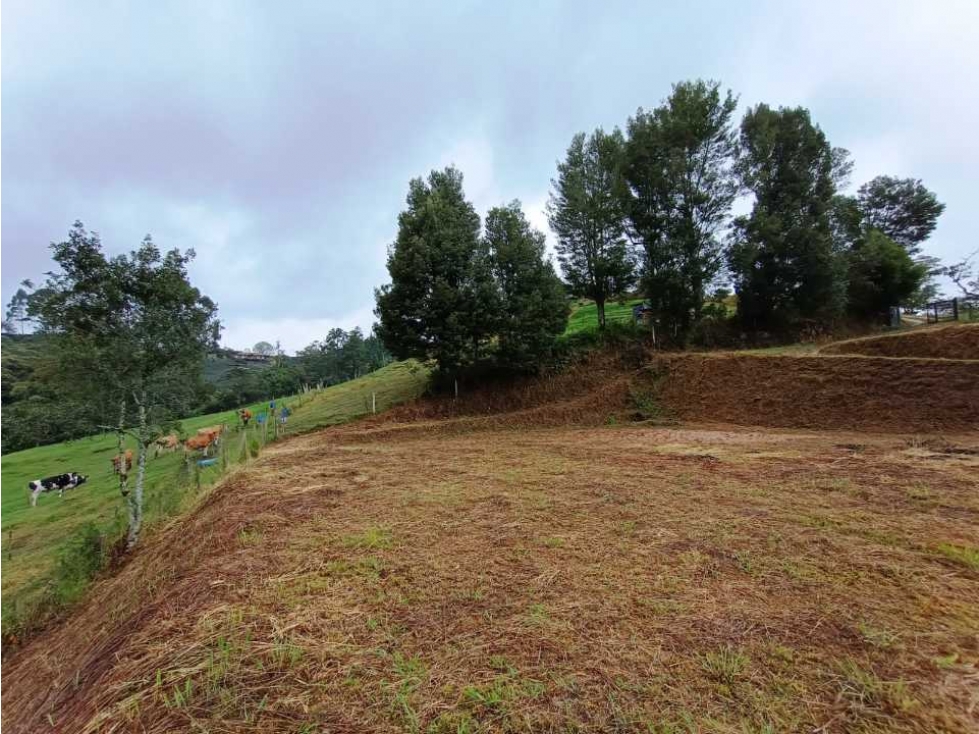 VENTA DE LOTE EN VEREDA QUIRAMA, EL CARMEN DE VIVORAL — foto 2
