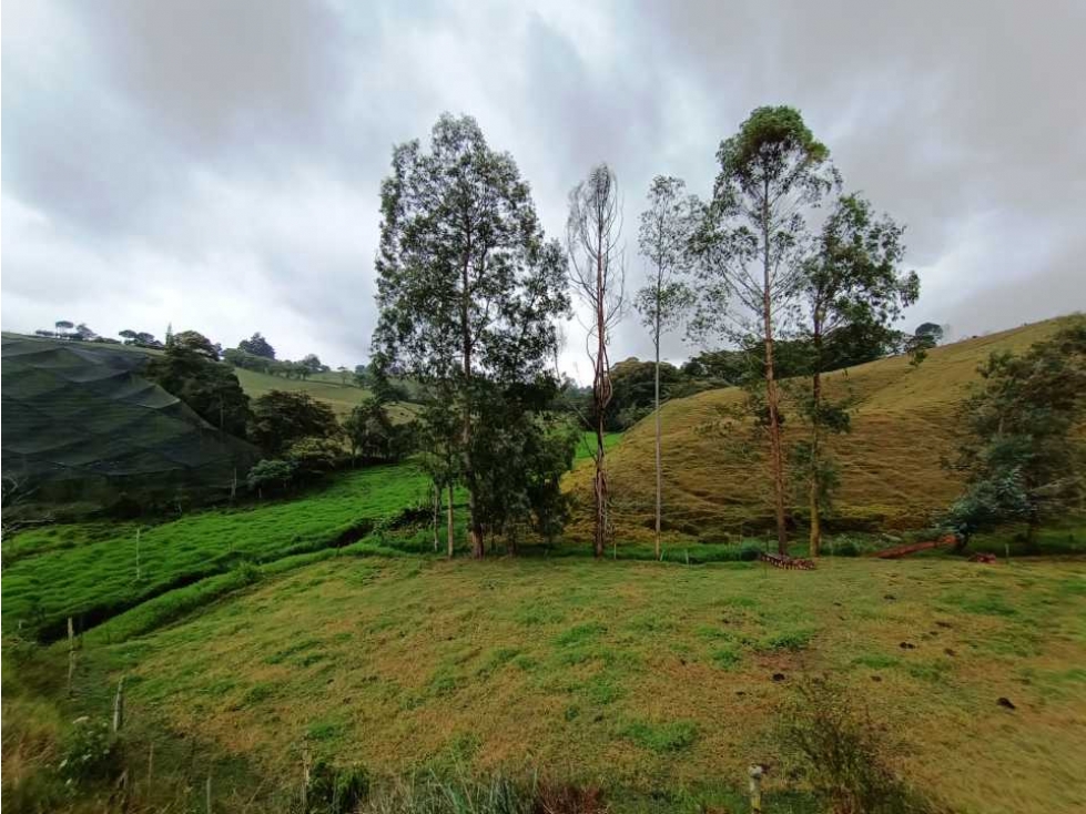 VENTA DE LOTE EN VEREDA QUIRAMA, EL CARMEN DE VIVORAL — foto 4