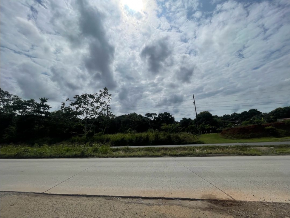 Venta de lote en via Panamericana en la chorrera - 2