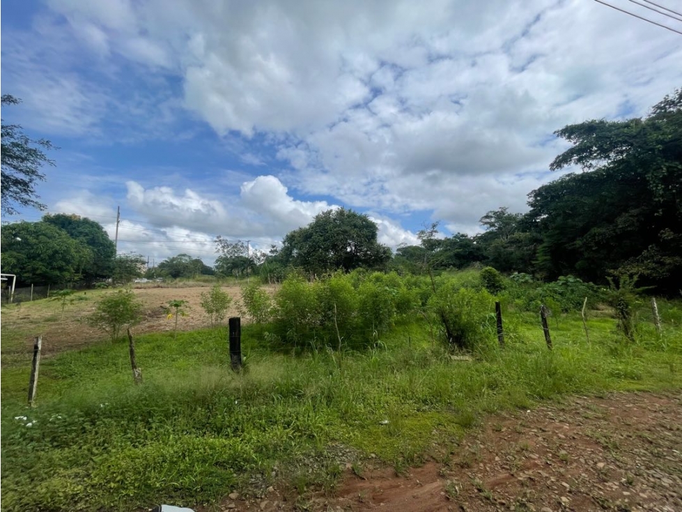 Venta de lote en via Panamericana en la chorrera - 3
