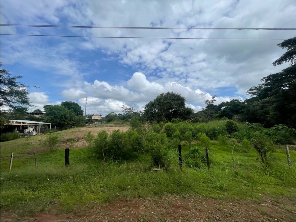 Venta de lote en via Panamericana en la chorrera - 4