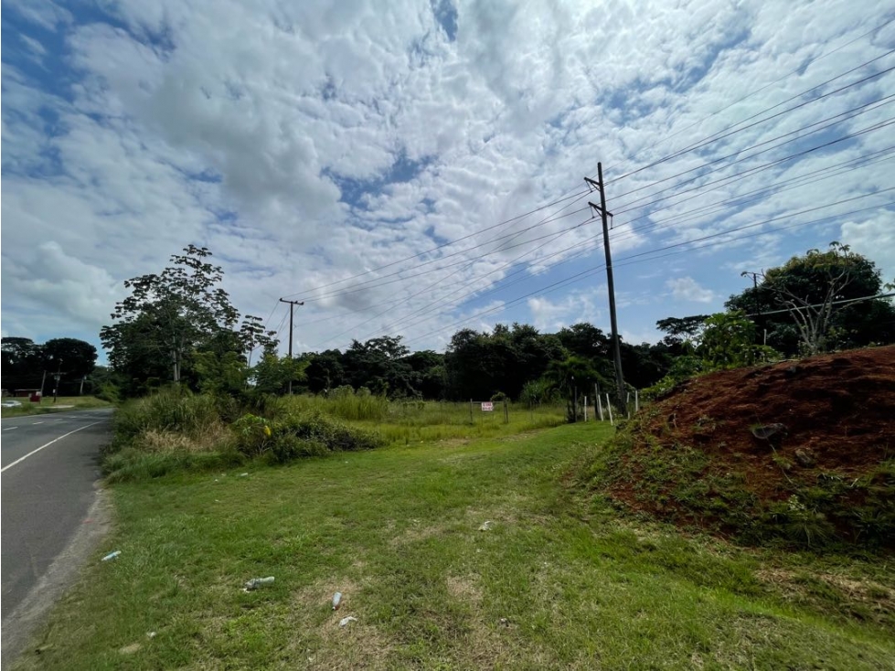 Venta de lote en via Panamericana en la chorrera - 5