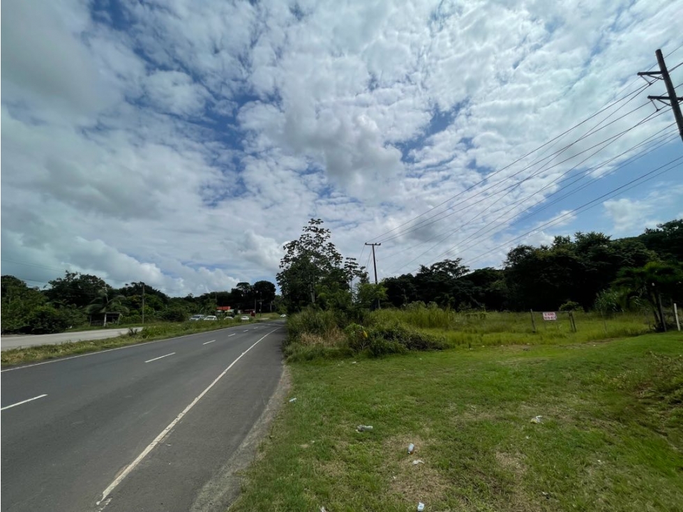 Venta de lote en via Panamericana en la chorrera - 6