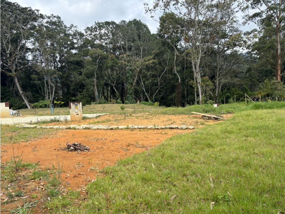 Venta de Lote Entre Don Diego y Llanogrande en Parcelación Nueva — foto 3