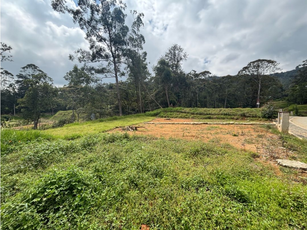 Venta de Lote Entre Don Diego y Llanogrande en Parcelación Nueva — foto 5