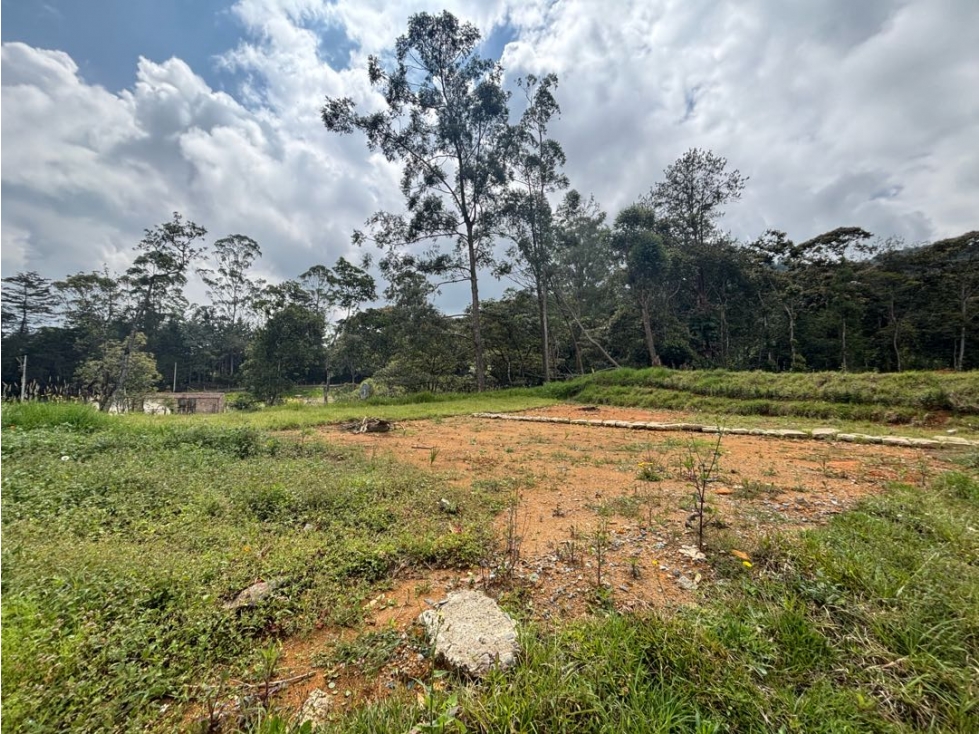 Venta de Lote Entre Don Diego y Llanogrande en Parcelación Nueva — foto 6