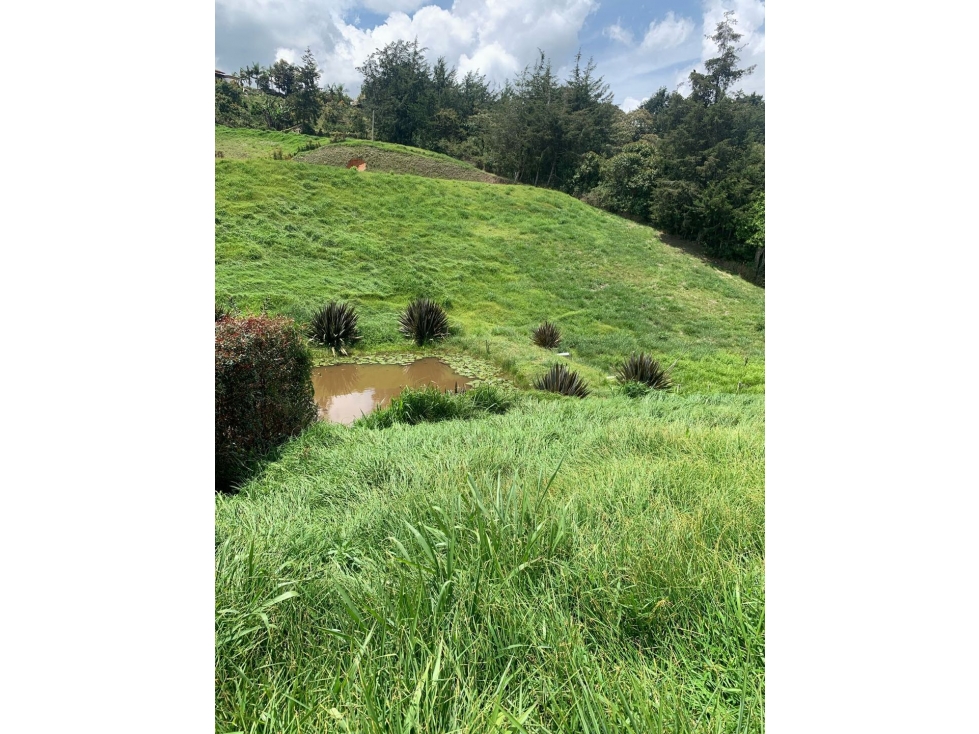 Venta de lote unidad cerrada Carmen de viboral vereda la samaria — foto 5