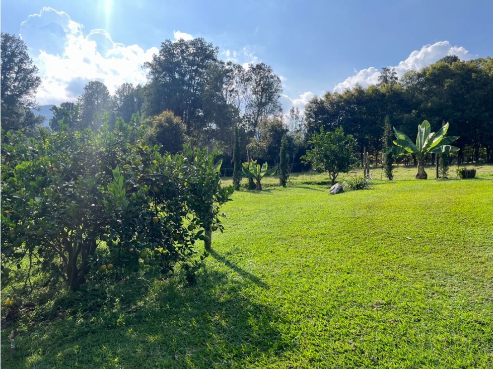 Venta de lote especial para múltiples usos con casa en rionegro — foto 2