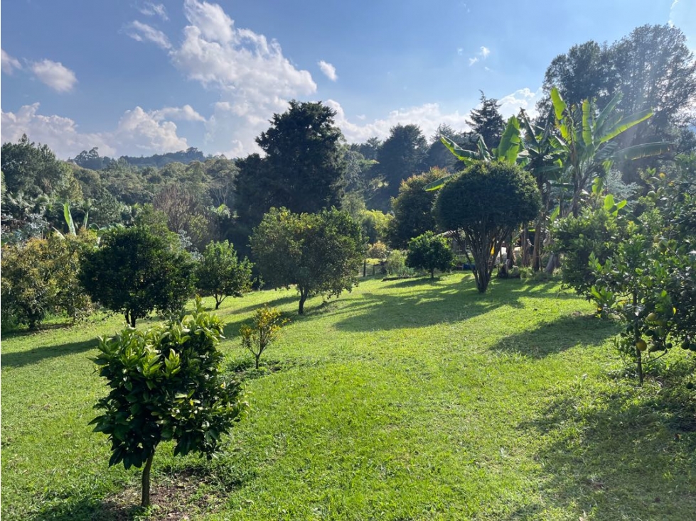 Venta de lote especial para múltiples usos con casa en rionegro — foto 3