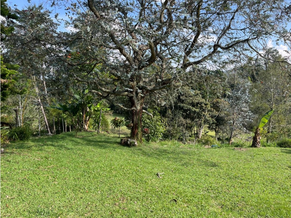 Venta de lote especial para múltiples usos con casa en rionegro — foto 4