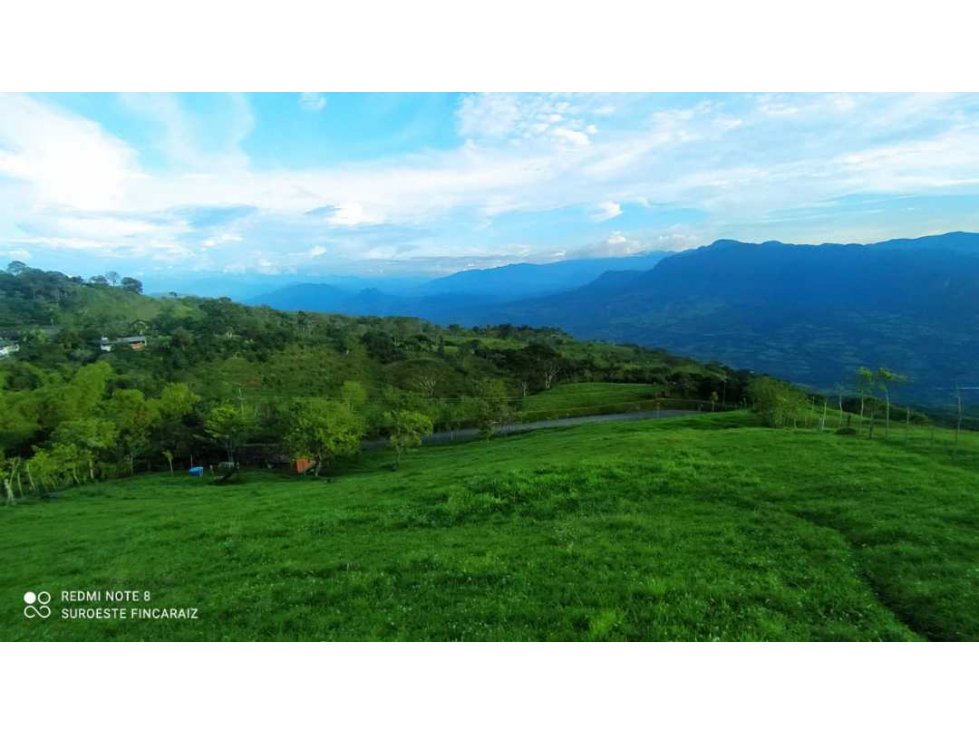VENTA DE LOTE, FREDONIA SUROESTE ANTIOQUEÑO - 1
